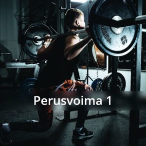 Perusvoima 1 treeniohjelma