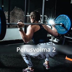 Perusvoima 2 treeniohjelma